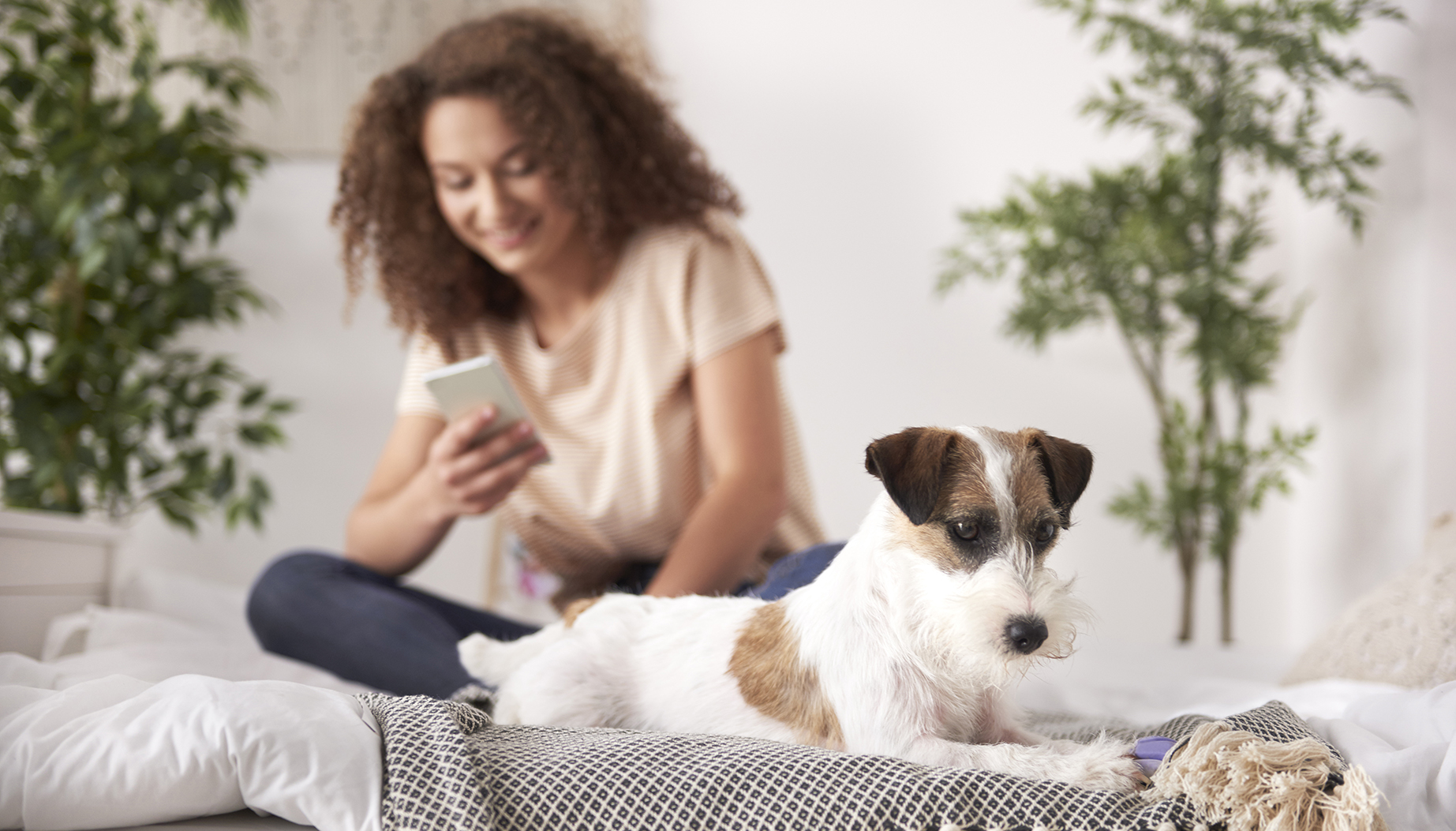 Girl with dog in apartment